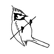 Meisengezwitscher - Naturblog